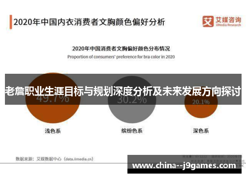 老詹职业生涯目标与规划深度分析及未来发展方向探讨