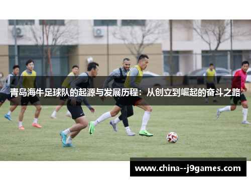青岛海牛足球队的起源与发展历程：从创立到崛起的奋斗之路