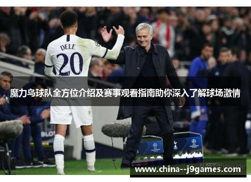 魔力鸟球队全方位介绍及赛事观看指南助你深入了解球场激情