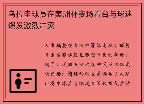 乌拉圭球员在美洲杯赛场看台与球迷爆发激烈冲突